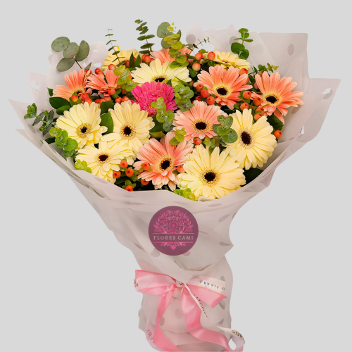 Gerberas Primaverales