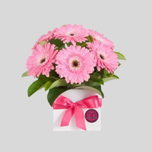 Box cuadrado en 10 gerberas