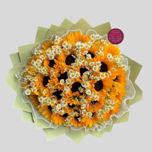 Girasoles en Primavera