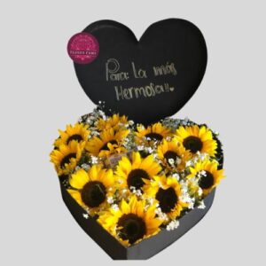 Maravillas en Corazón