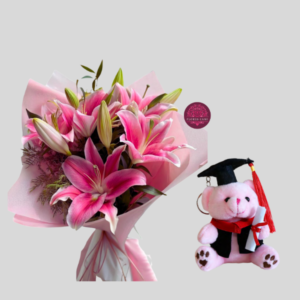 Sueños de Graduación