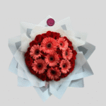 Gerberas de Encanto