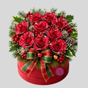 Box Noche Buena