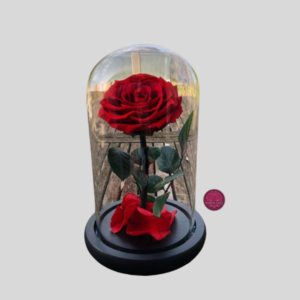 Rosa con tallo en cúpula