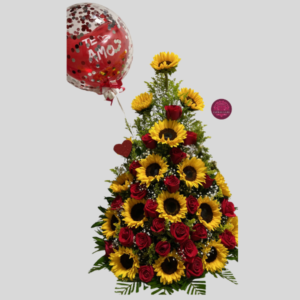 Maravillas, Rosas y Encanto