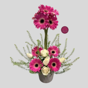 Diseño en Gerberas Premium