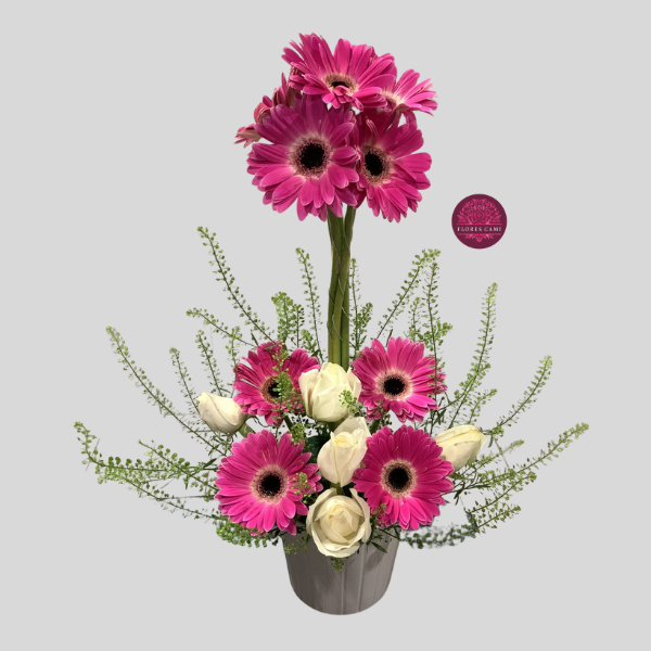 Diseño en Gerberas Premium