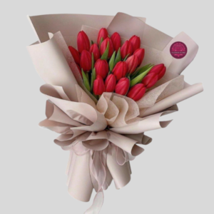 Encanto de Tulipanes