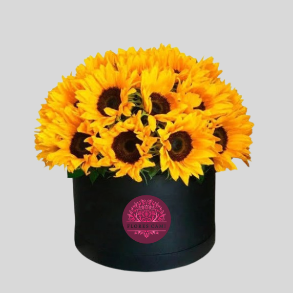 Box en Girasoles