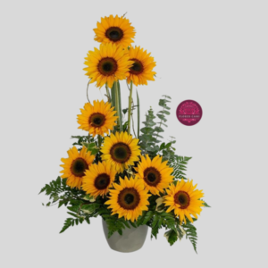 Maravillas en Escalas