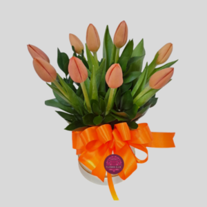 Box en 10 tulipanes Naranjos