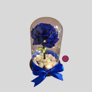 Rosa Azul en Cúpula