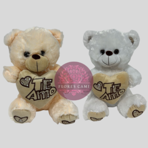 Oso de Peluche “Te Amo”