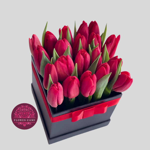 20 Tulipanes en Box