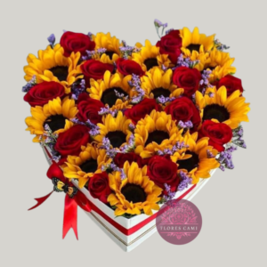 Corazón de Maravillas y Rosas