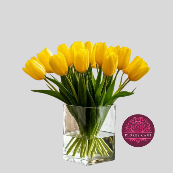 10 Tulipanes en Cubo