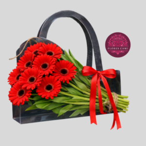 Cartera de Gerberas