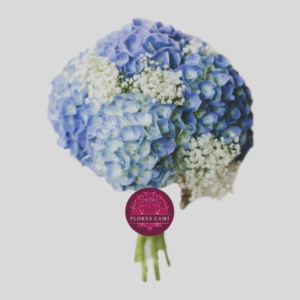 Ramo de Novia en Hortensias