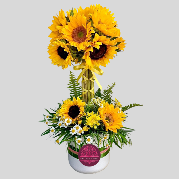 Diseño en Girasoles