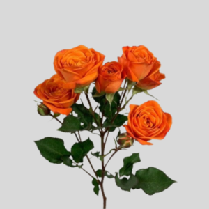 Vara de Mini Rosas Naranjas