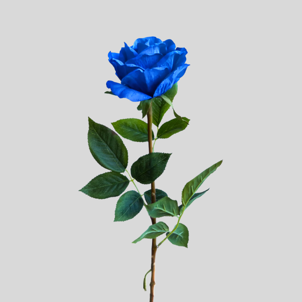 Vara Rosa Azul