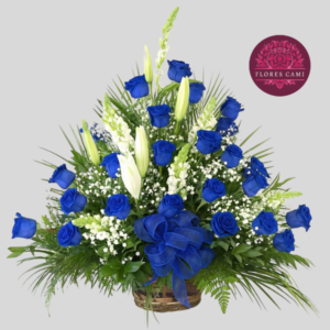Arrimo en Rosas Azules