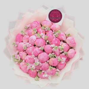 Ramo con 20 Peonias Rosadas